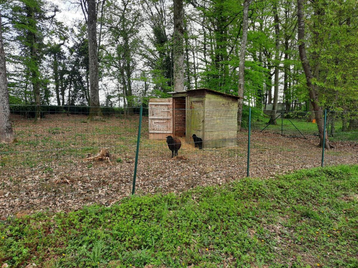 maison de campagne au calme Chuelles Extérieur photo